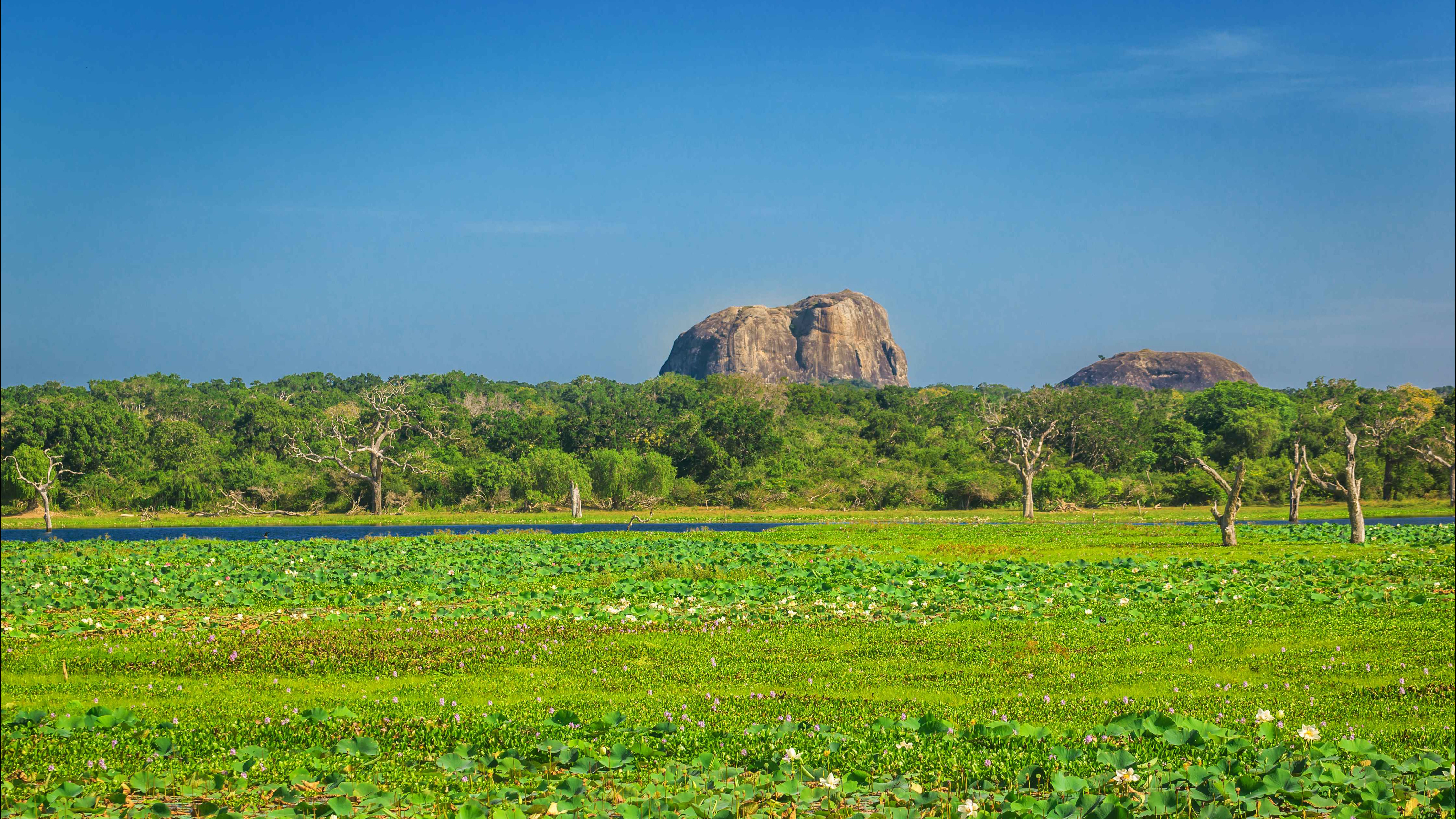Yala National Park Adventure