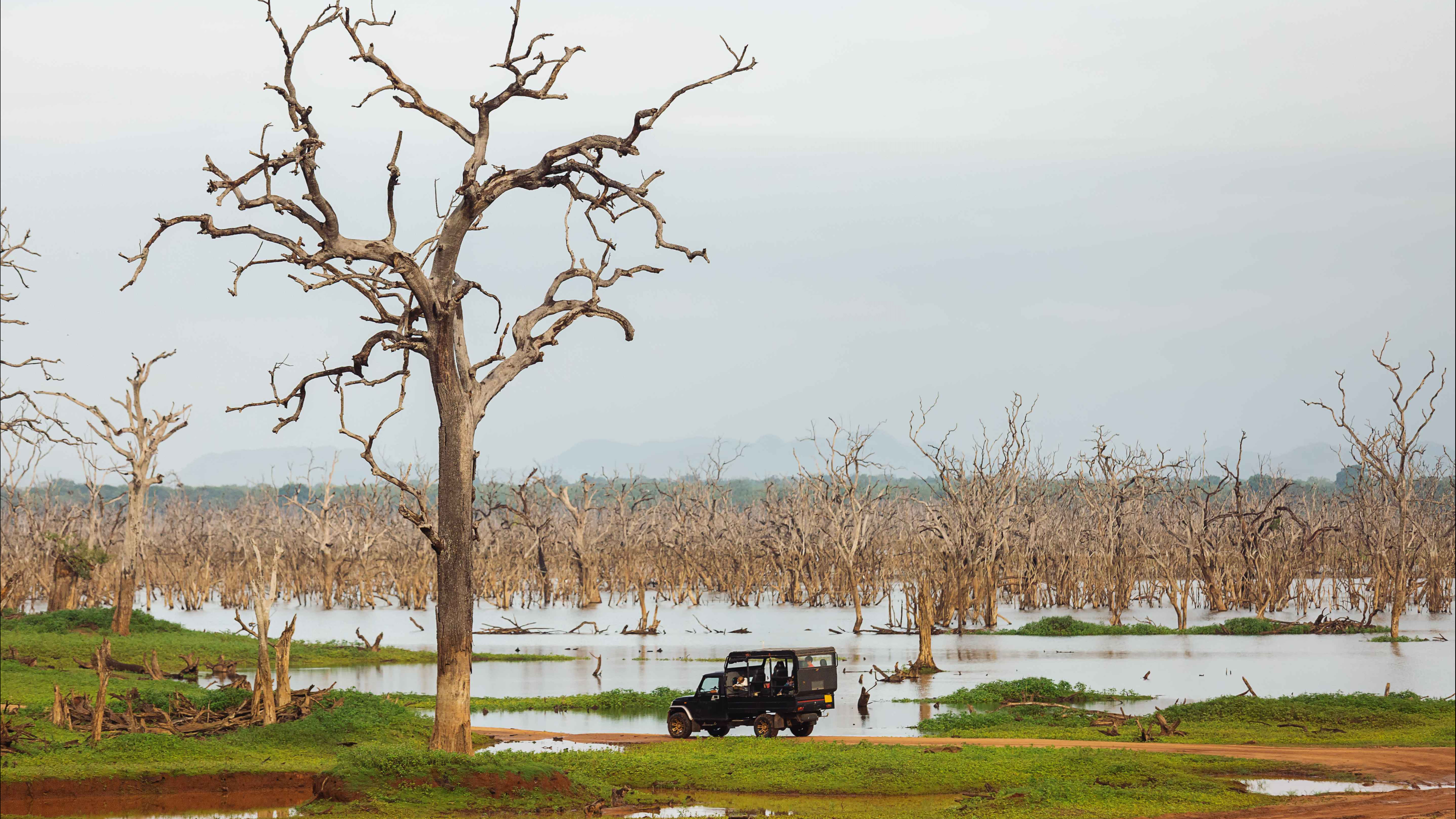 Udawalawe and Bundala Wildlife Exploration