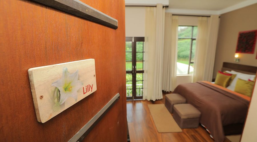 Lily Double Room with a Private Balcony