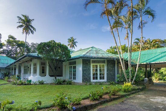 Whole Villa For 10pax