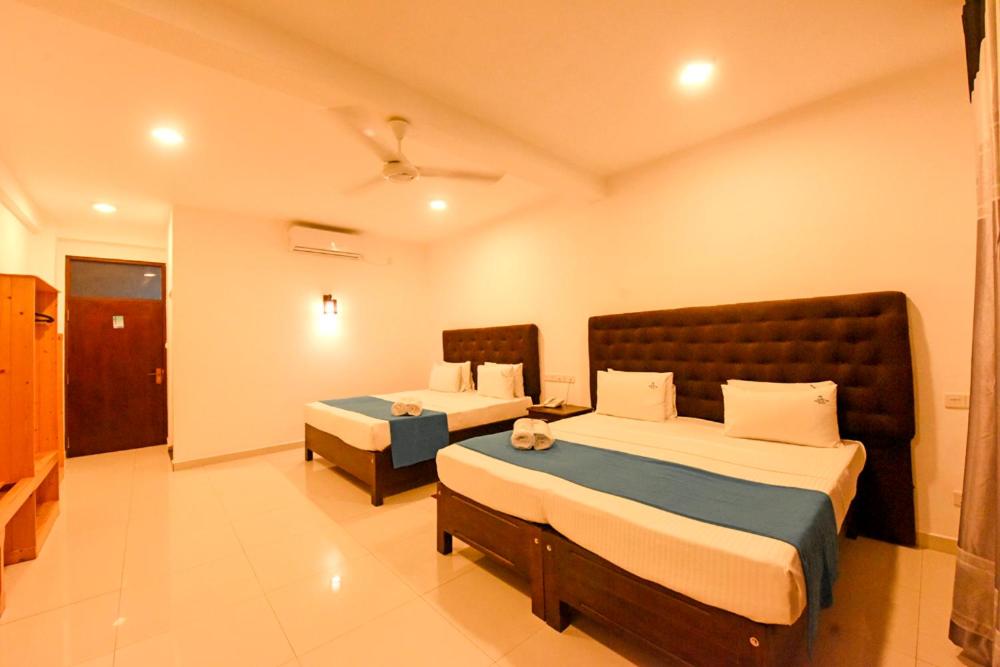 Randiya Design Super Deluxe