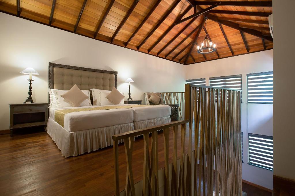 Suite (Single Occupancy)